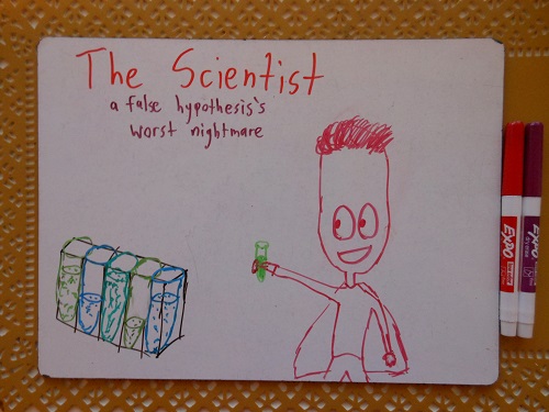 What do scientists do with all that extra forehead? No one knows.