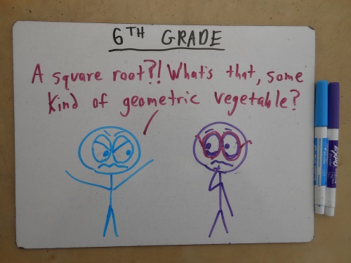 Today we're serving the roasted square roots with fennel, over a bed of arugula.