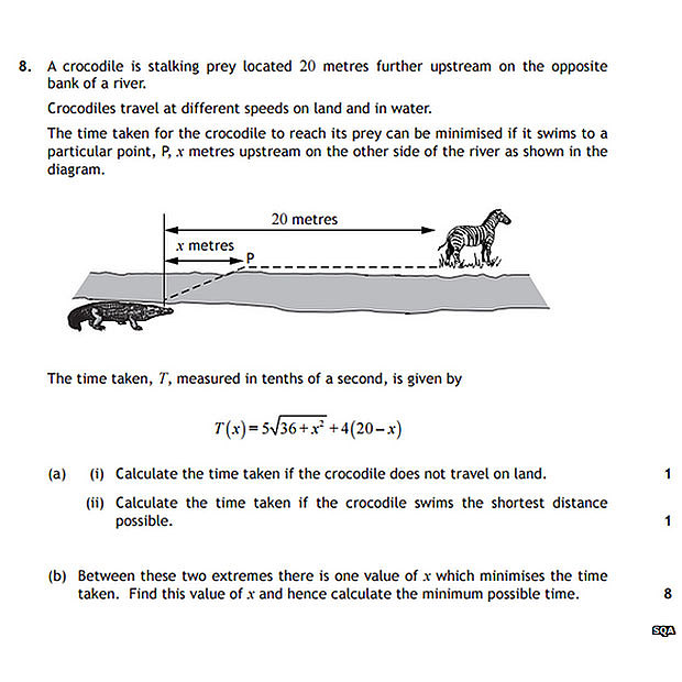 crocodile-exam-que_3468274b