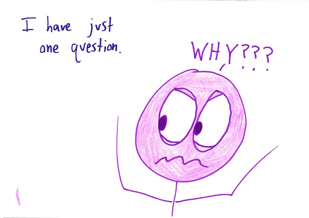 20160321071128_00004