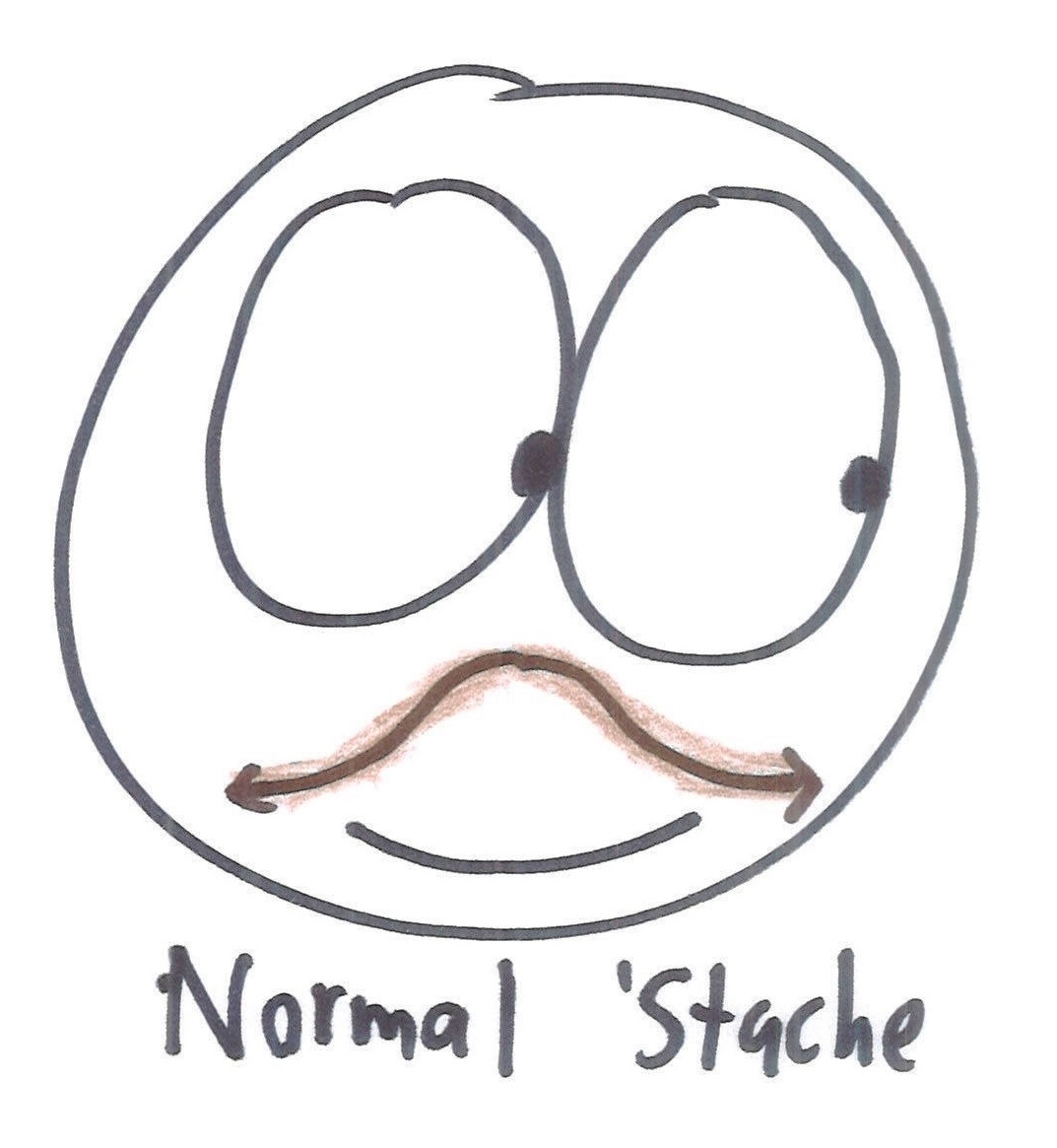 stache 14