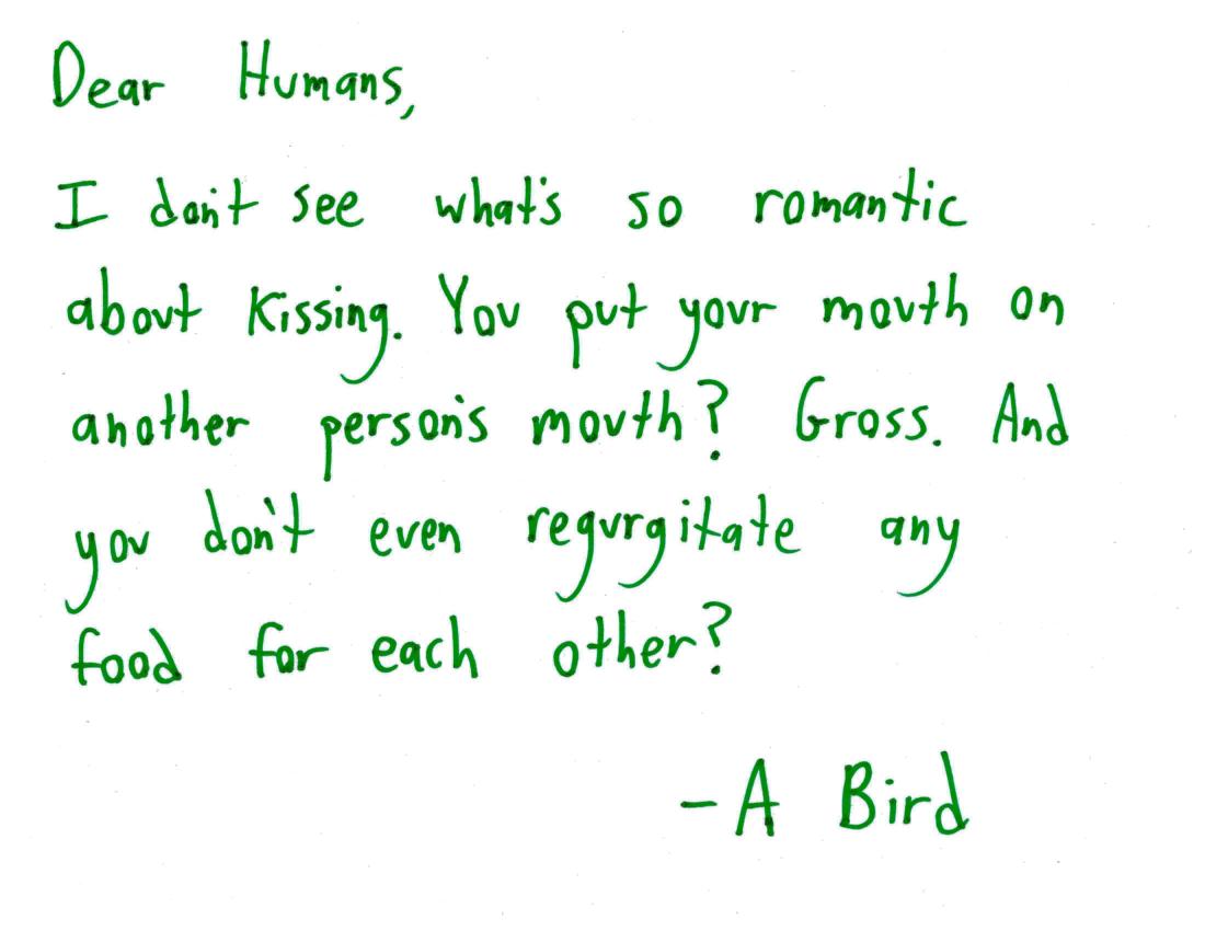 2017.9.1 bird to humans