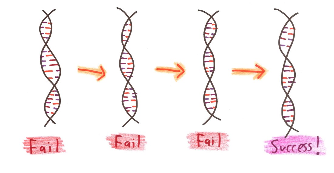20161031143242_00036