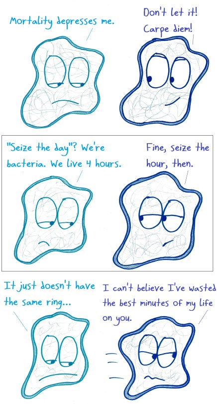 2018.4.13 bacteria carpe diem