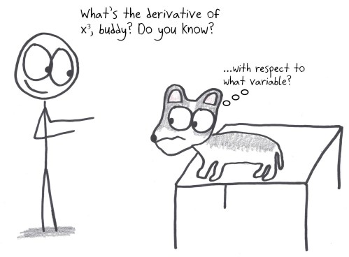 A14 - That's Professor Dog to You13