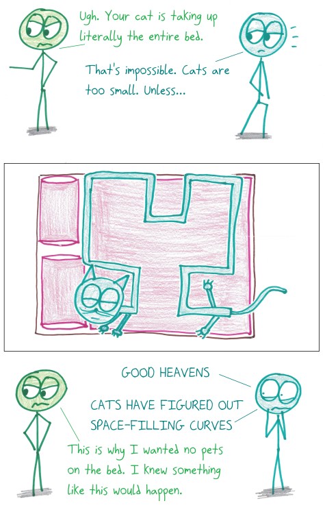 2019.11.12 space-filling cat